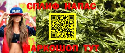 гидра Донецк